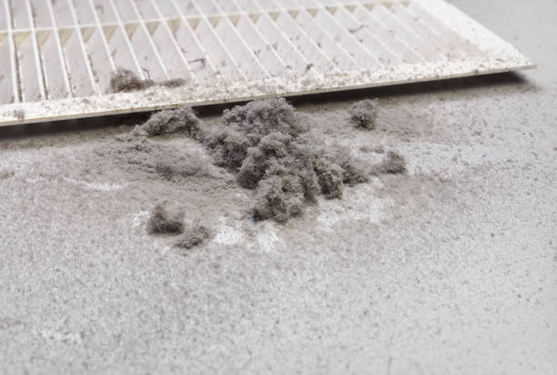 Best Air Duct Cleaning Near Me  in Lake Nacimiento, CA