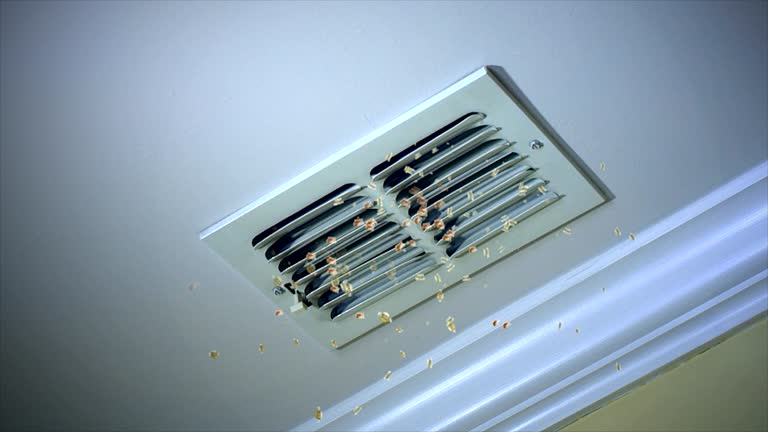 Best Best Air Duct Cleaning Company  in Lake Nacimiento, CA