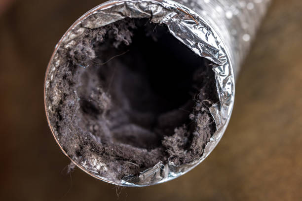 Best Ventilation Cleaning Services  in Lake Nacimiento, CA