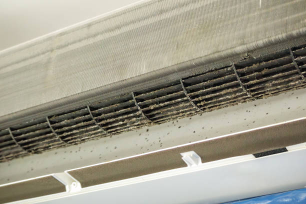 Best Air Duct Cleaning Near Me  in Lake Nacimiento, CA